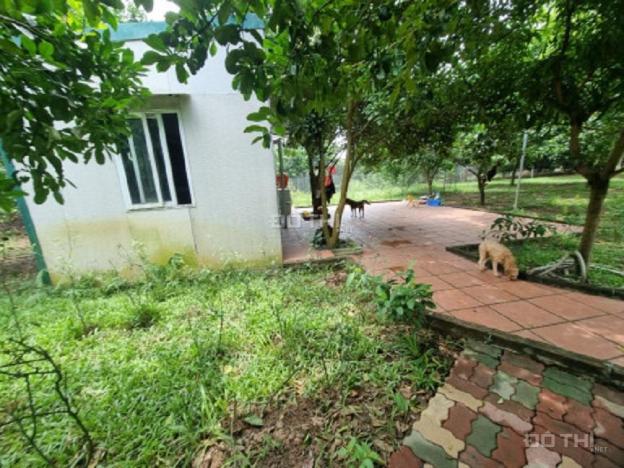 4244365 ảnh đại diện 1