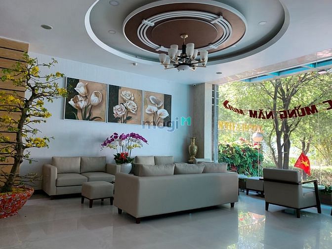 4244970 ảnh đại diện 1