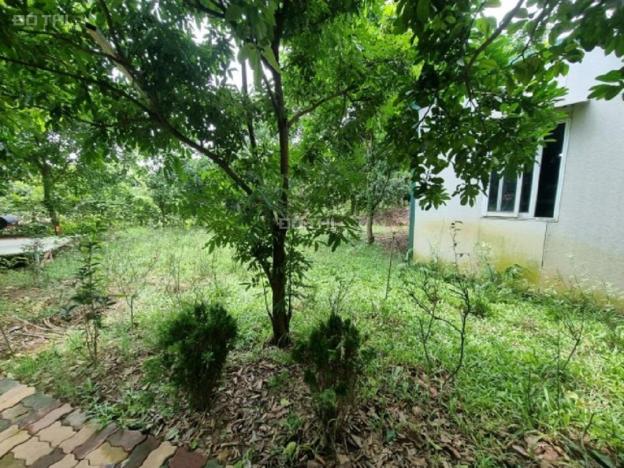 4244360 ảnh đại diện 1