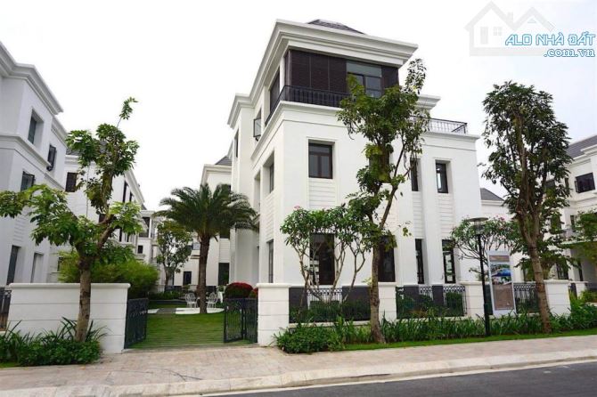 4243106 ảnh đại diện 1