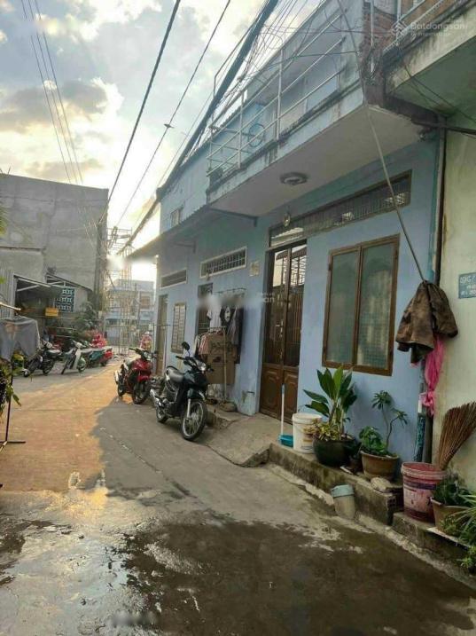 4242437 ảnh đại diện 1
