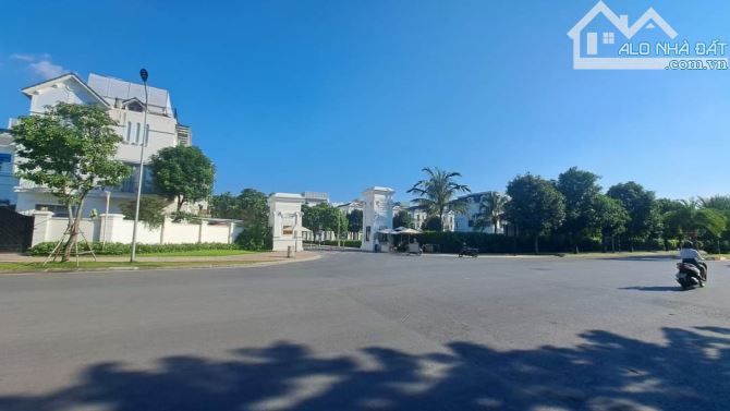 4244162 ảnh đại diện 2