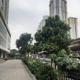 4244621 ảnh đại diện 1