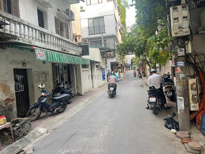 4246040 ảnh đại diện 1