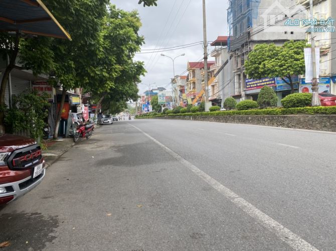 4246851 ảnh đại diện 1