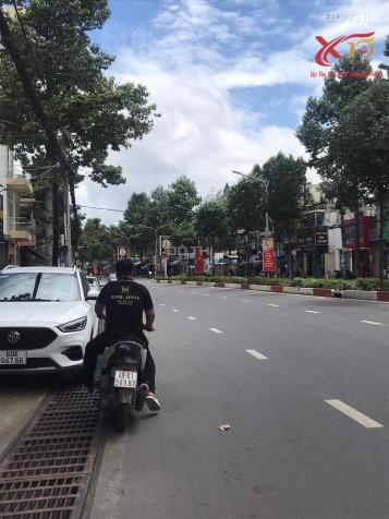 4249780 ảnh đại diện 1