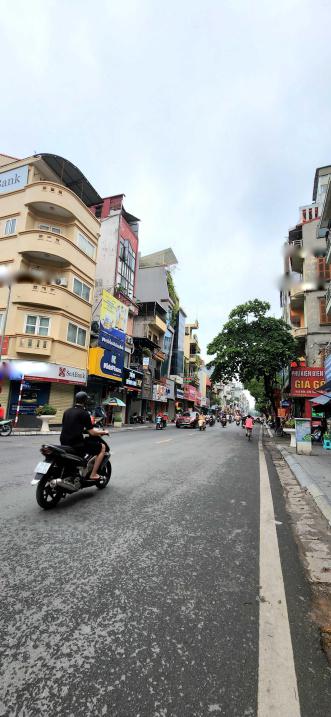 4246410 ảnh đại diện 2
