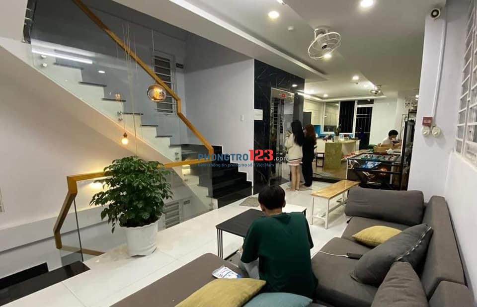 4248976 ảnh đại diện 2