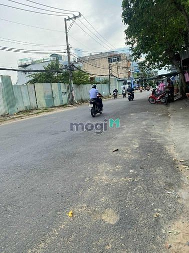 4249039 ảnh đại diện 1