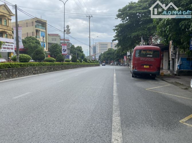 4246851 ảnh đại diện 1