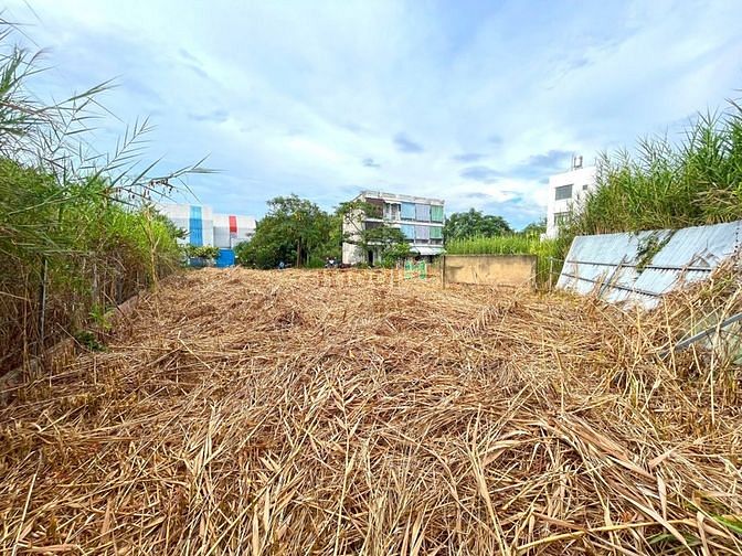 4248130 ảnh đại diện 1