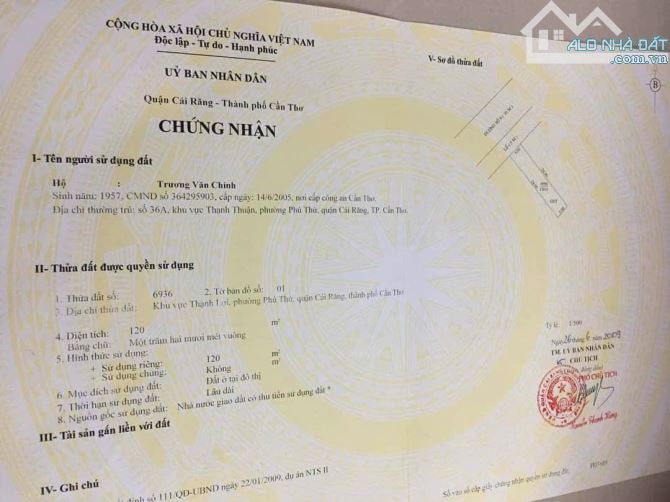 4248866 ảnh đại diện 1
