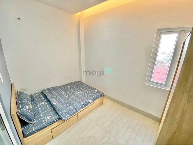 4247462 ảnh đại diện 1
