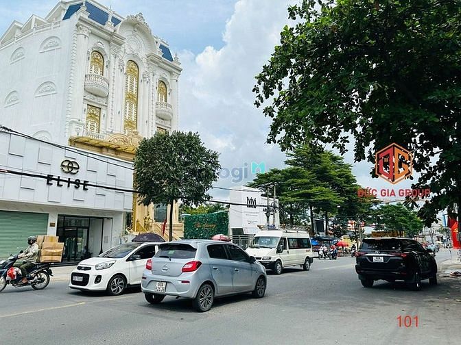 4248255 ảnh đại diện 1