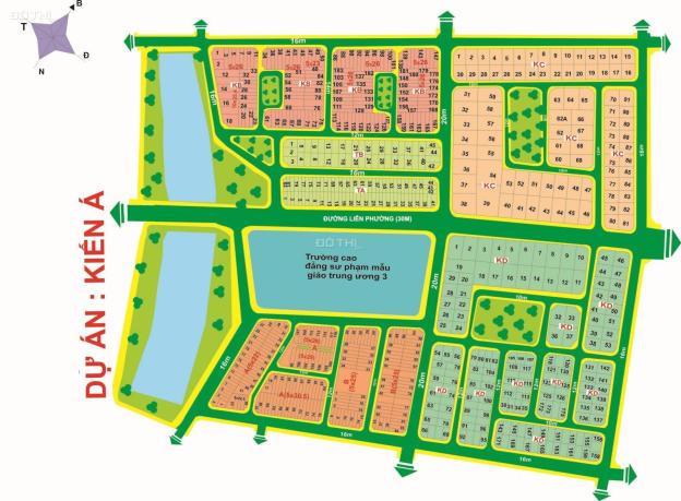 4249142 ảnh đại diện 1