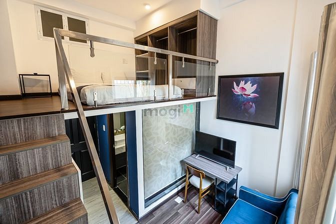 4246986 ảnh đại diện 1