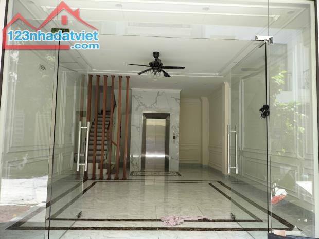 4246527 ảnh đại diện 1