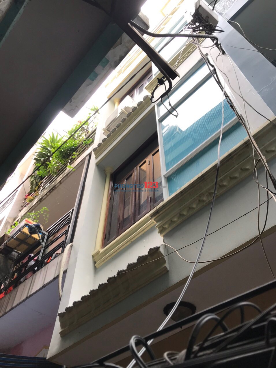 4249661 ảnh đại diện 1