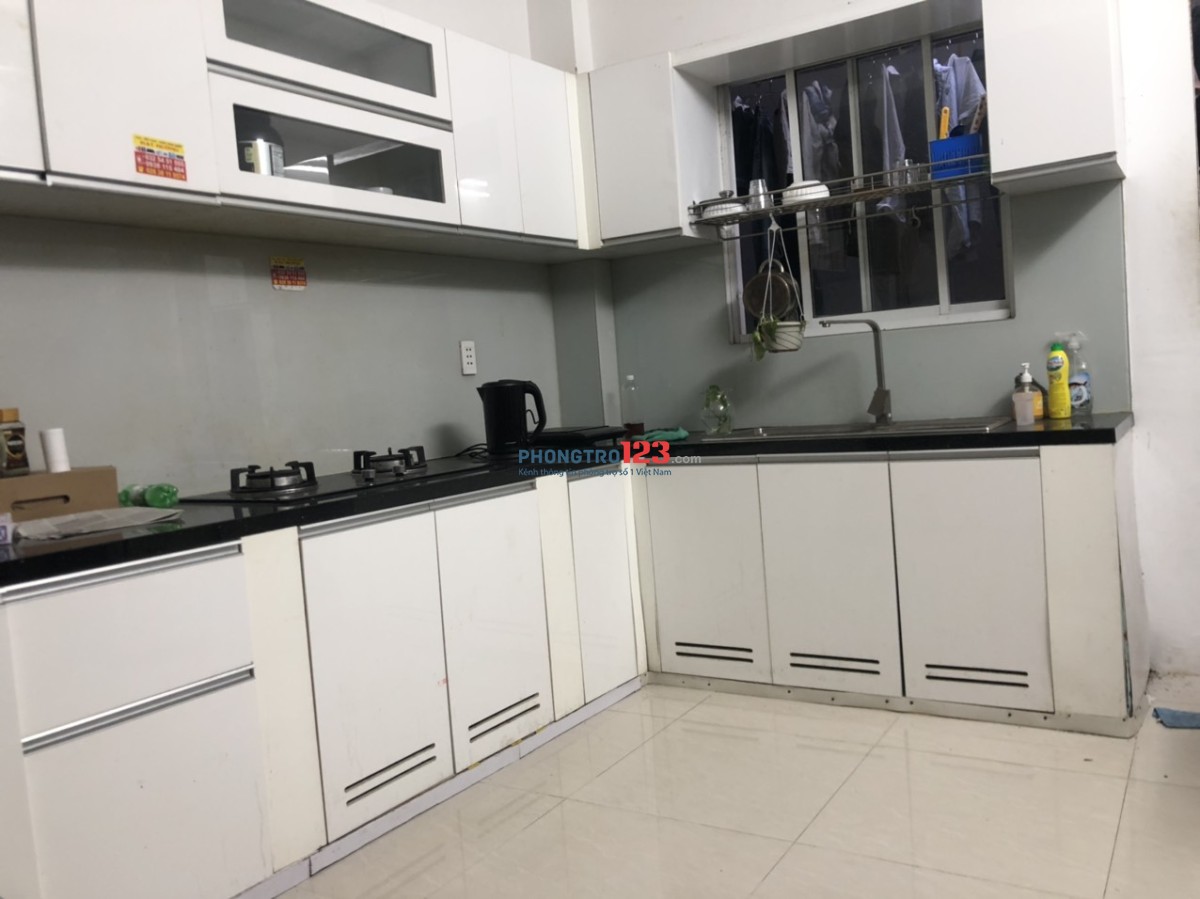 4248995 ảnh đại diện 1