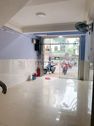 4248395 ảnh đại diện 1