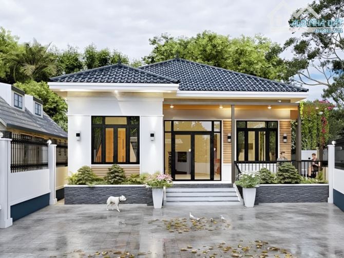 4248113 ảnh đại diện 1