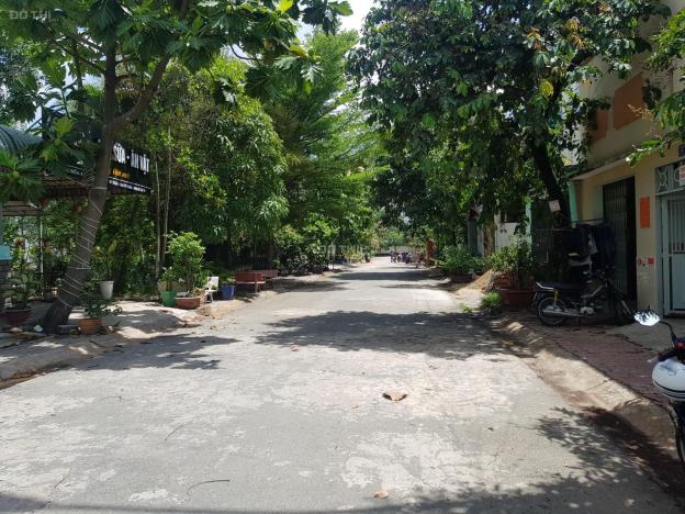 4249142 ảnh đại diện 1