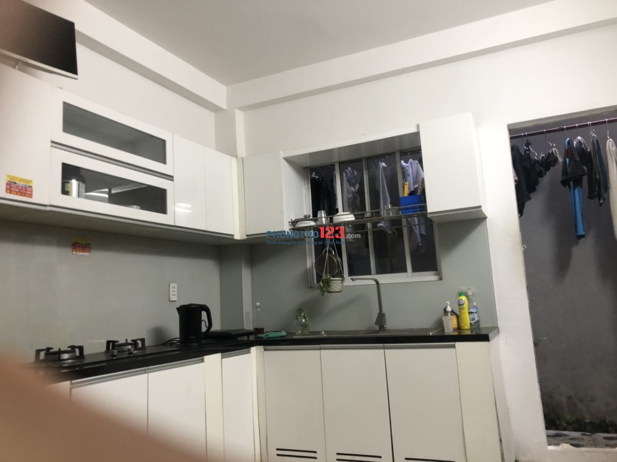 4248995 ảnh đại diện 2