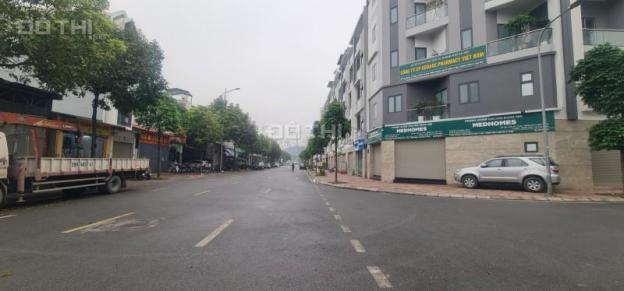 4248555 ảnh đại diện 1