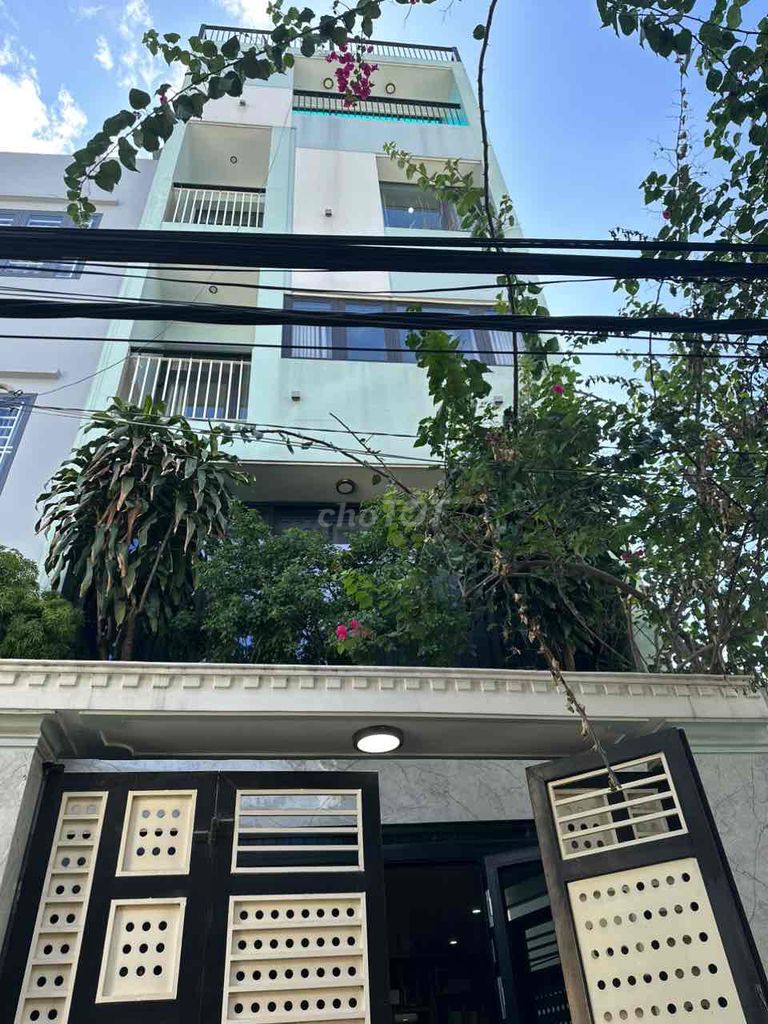 4246637 ảnh đại diện 1