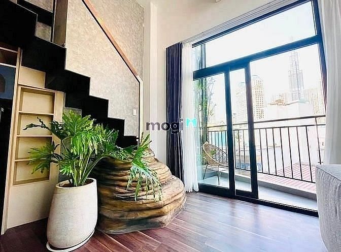 4246986 ảnh đại diện 2