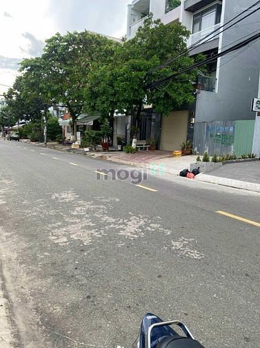 4249039 ảnh đại diện 1