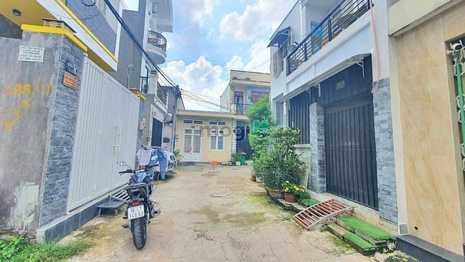 4247355 ảnh đại diện 2