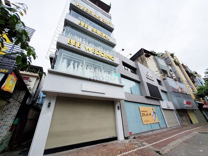 4248811 ảnh đại diện 1