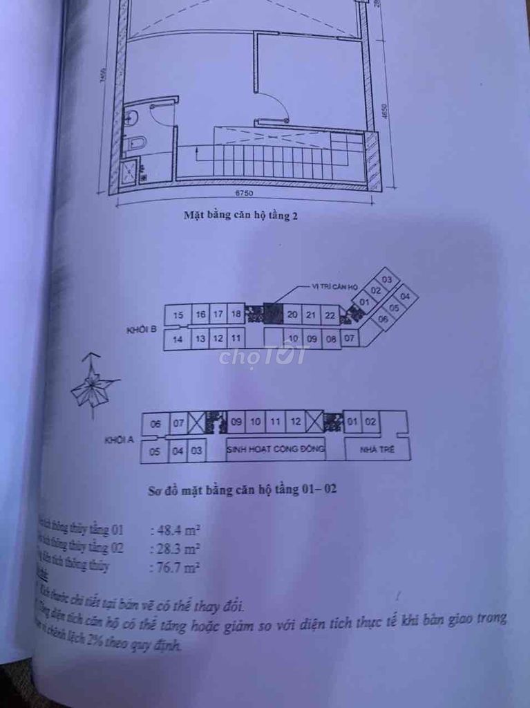 4248245 ảnh đại diện 1