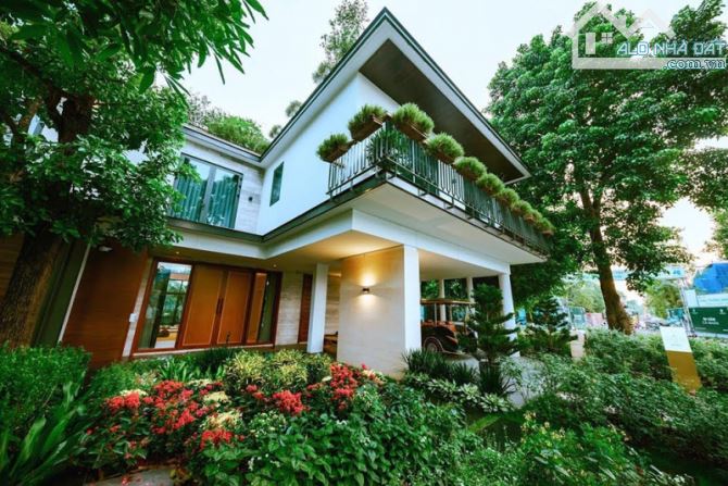 4247851 ảnh đại diện 1