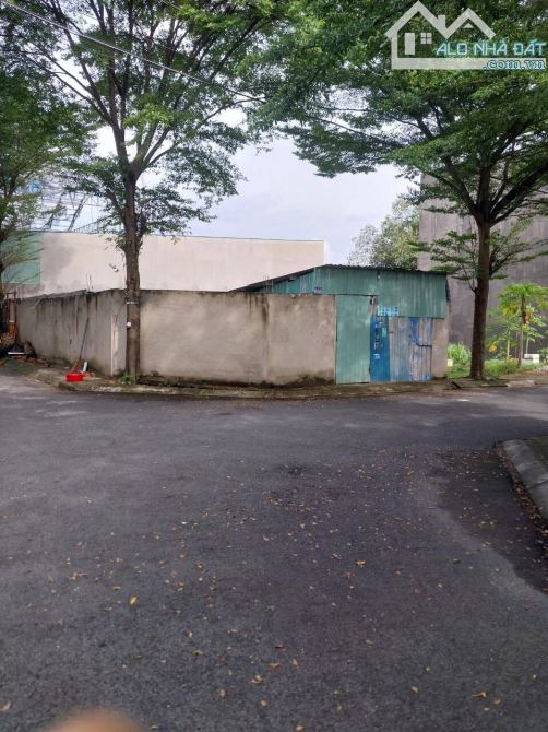 4247307 ảnh đại diện 1