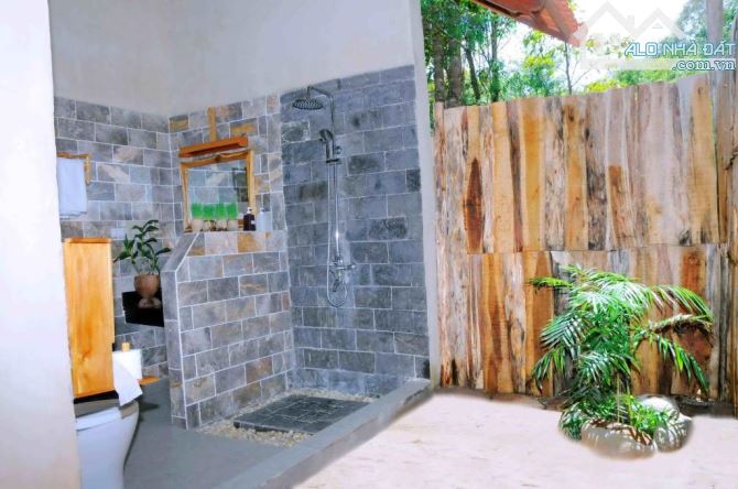 4248286 ảnh đại diện 2