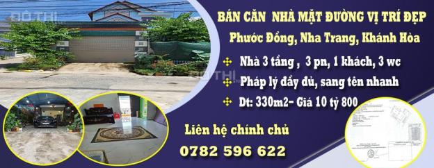 4247885 ảnh đại diện 1