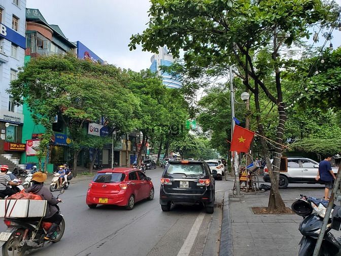 4248811 ảnh đại diện 2
