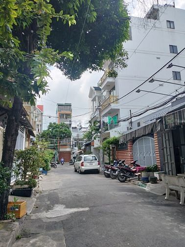 4248059 ảnh đại diện 2