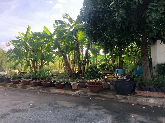4248556 ảnh đại diện 2