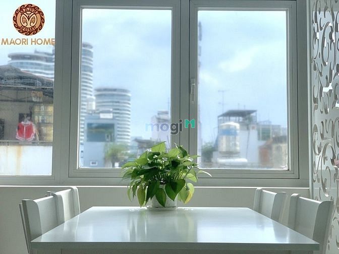 4247007 ảnh đại diện 1