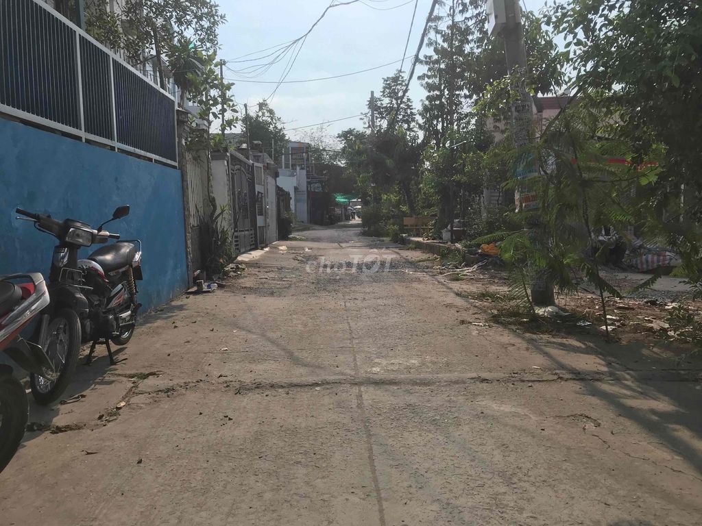 4249327 ảnh đại diện 1