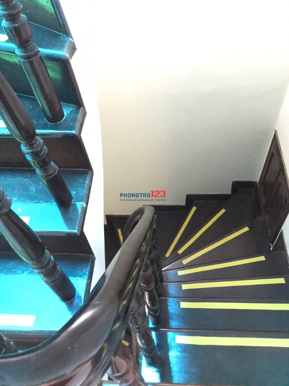 4249661 ảnh đại diện 2
