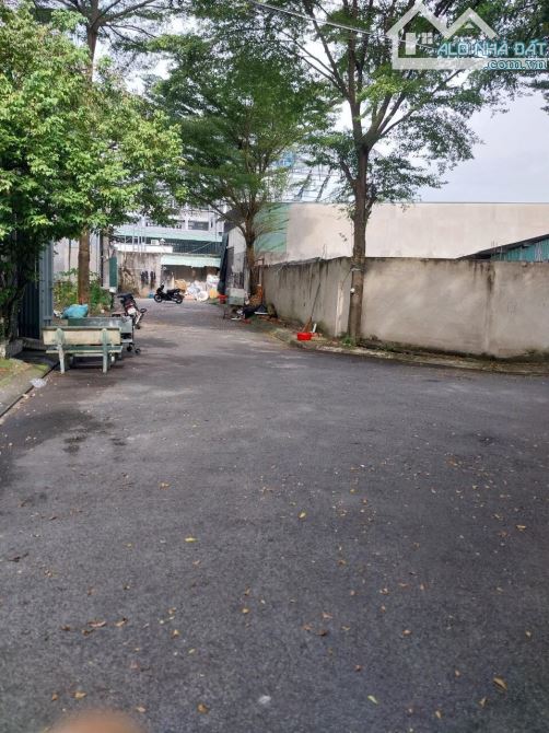 4247307 ảnh đại diện 1