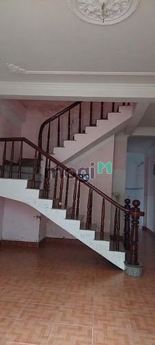 4247367 ảnh đại diện 1