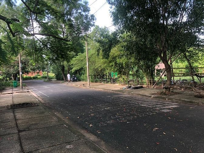 4248556 ảnh đại diện 1