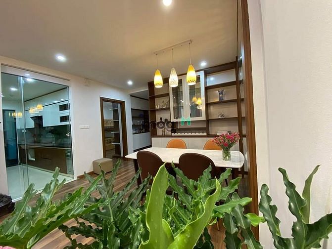 4246481 ảnh đại diện 2