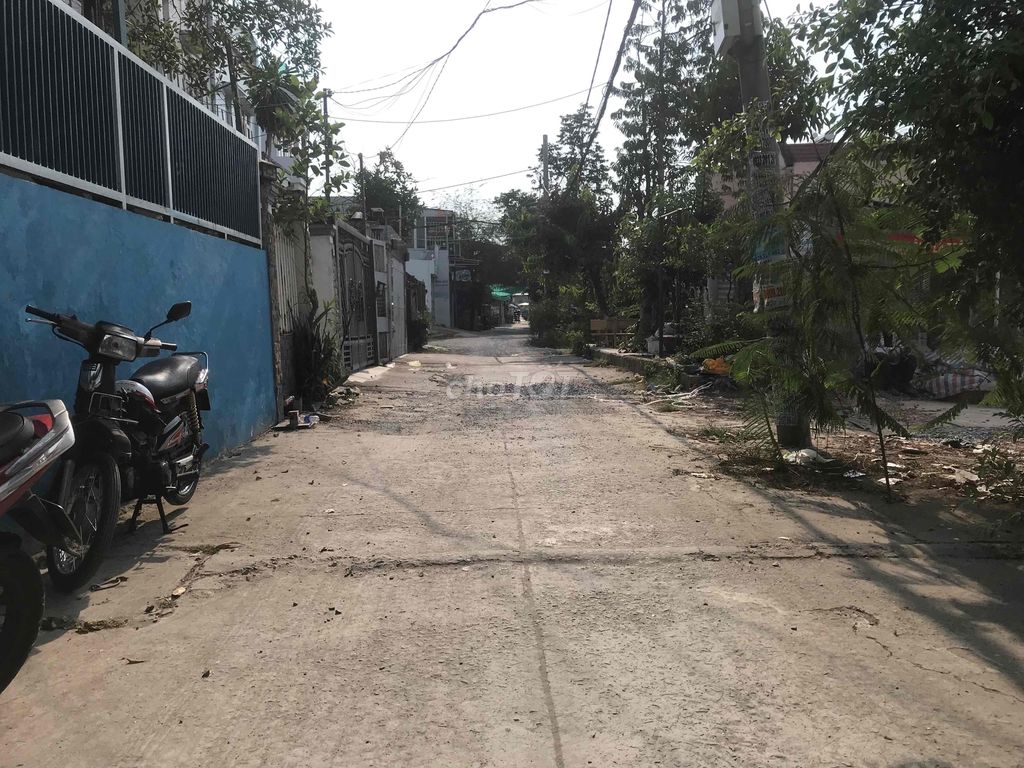 4249327 ảnh đại diện 1