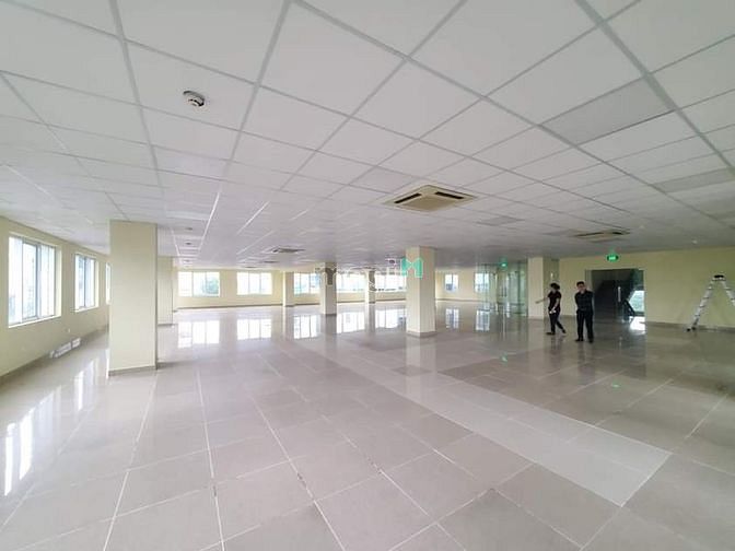 4248579 ảnh đại diện 1